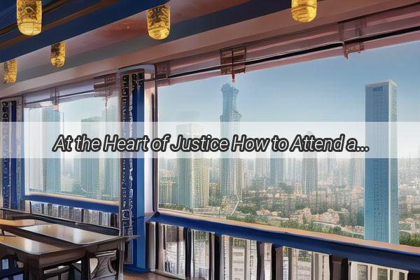 At the Heart of Justice How to Attend a Court Hearing in Guangzhou and Witness the Law in Action